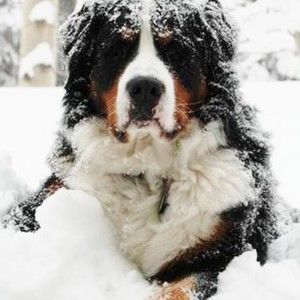 Meet your Posher, Timothy